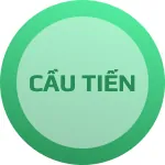 Cầu tiến