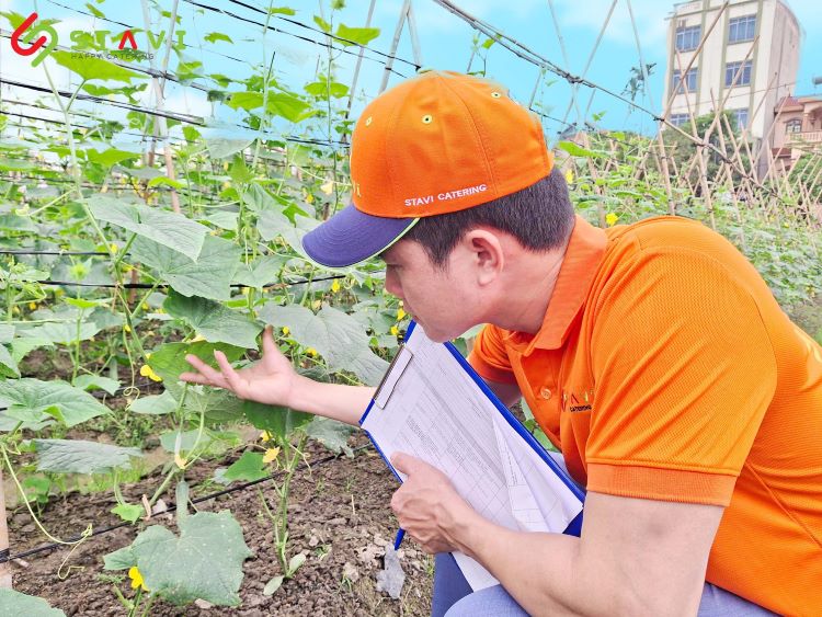 STAVI sẽ xử lý nghiêm các vấn đề phát sinh từ nhà cung cấp
