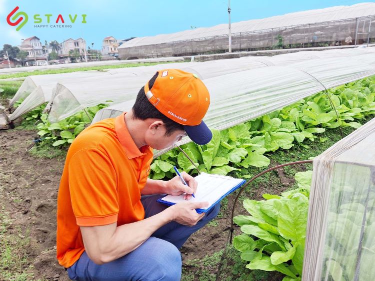 STAVI tổ chức các buổi kiểm tra nhà cung cấp định kỳ