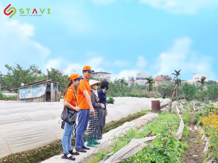 STAVI xuống tận cơ sở để kiểm tra nhà cung cấp STAVI xuống tận cơ sở để kiểm tra nhà cung cấp