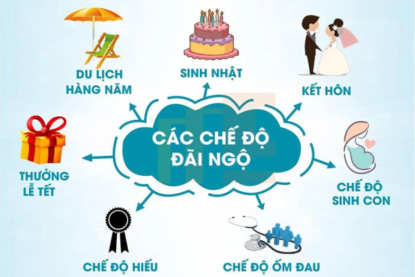 CHẾ ĐỘ ĐÃI NGỘ CỦA CÔNG TY STAVI ĐỐI VỚI NHÂN VIÊN CÓ TỐT KHÔNG?