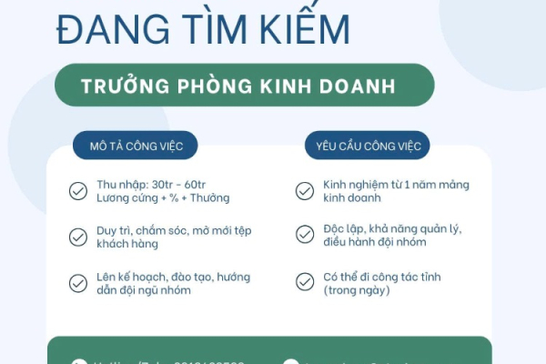 Stavi tuyển trưởng phòng kinh doanh